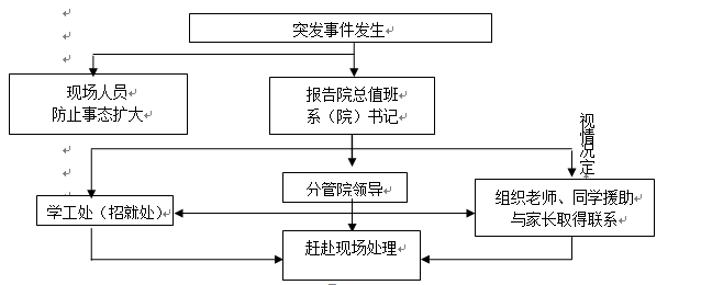 3777金沙娱场城各类突发事件应急预案及处置流程图